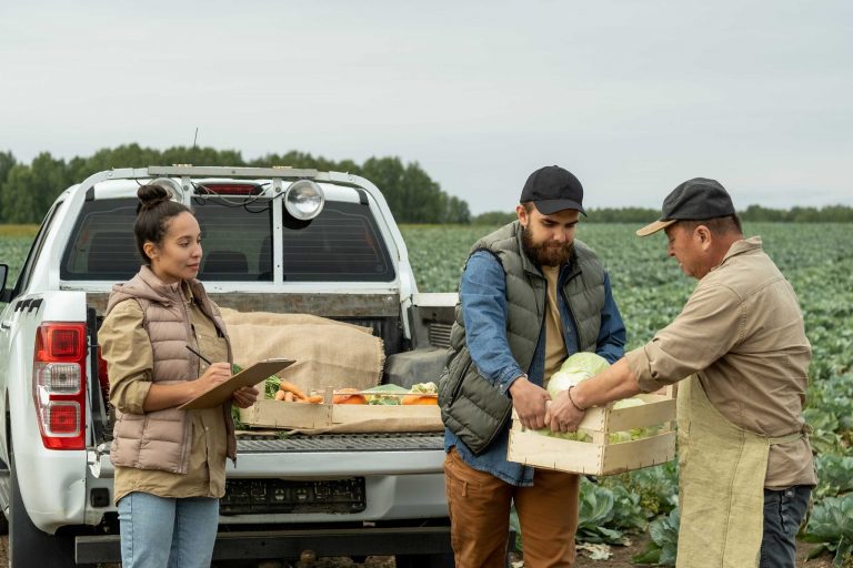 Mastering Long-Term Food Storage: Practical Methods for Modern Homes